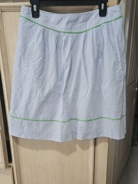 Lilly Pulitzer Blue-and-White Striped A-Line Skirt with Green Trim
